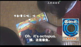 play在线视频,精彩瞬间与剧情回顾