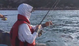 海钓视频,捕捉海洋之美
