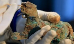 肛塞视频,揭秘肛塞使用技巧与注意事项