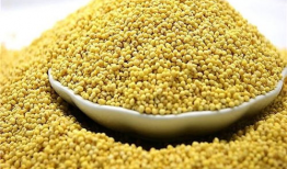 大黄米,传统美食的传承与创新之旅