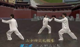 24式太极拳视频,领略传统武术魅力，轻松入门教程