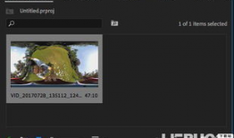 x视频,揭秘热门内容背后的魅力与影响力