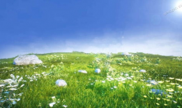 清清草视频,探寻自然之美，感受生命之韵