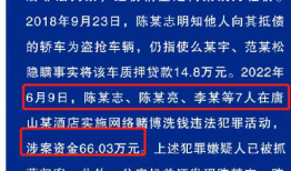 事件进展,揭秘背后真相与影响