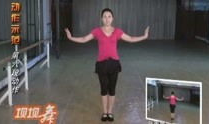 健身广场舞视频大全,舞动健康，乐享人生