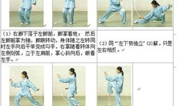 24式太极拳视频,领略传统武术魅力，轻松入门教程