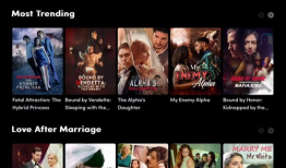 在线视频中文字幕,揭秘在线视频字幕背后的制作奥秘