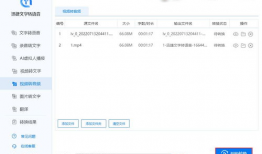 视频转音频在线,一键在线转音频，轻松获取核心概述